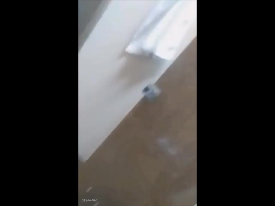 Spy Rodoviária 2 - video 2