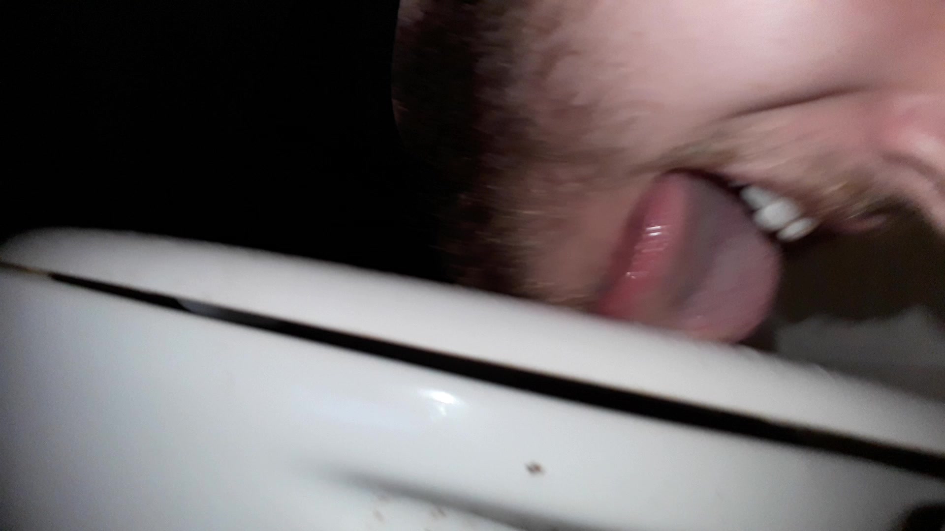 Licking toilet and sucking on brush