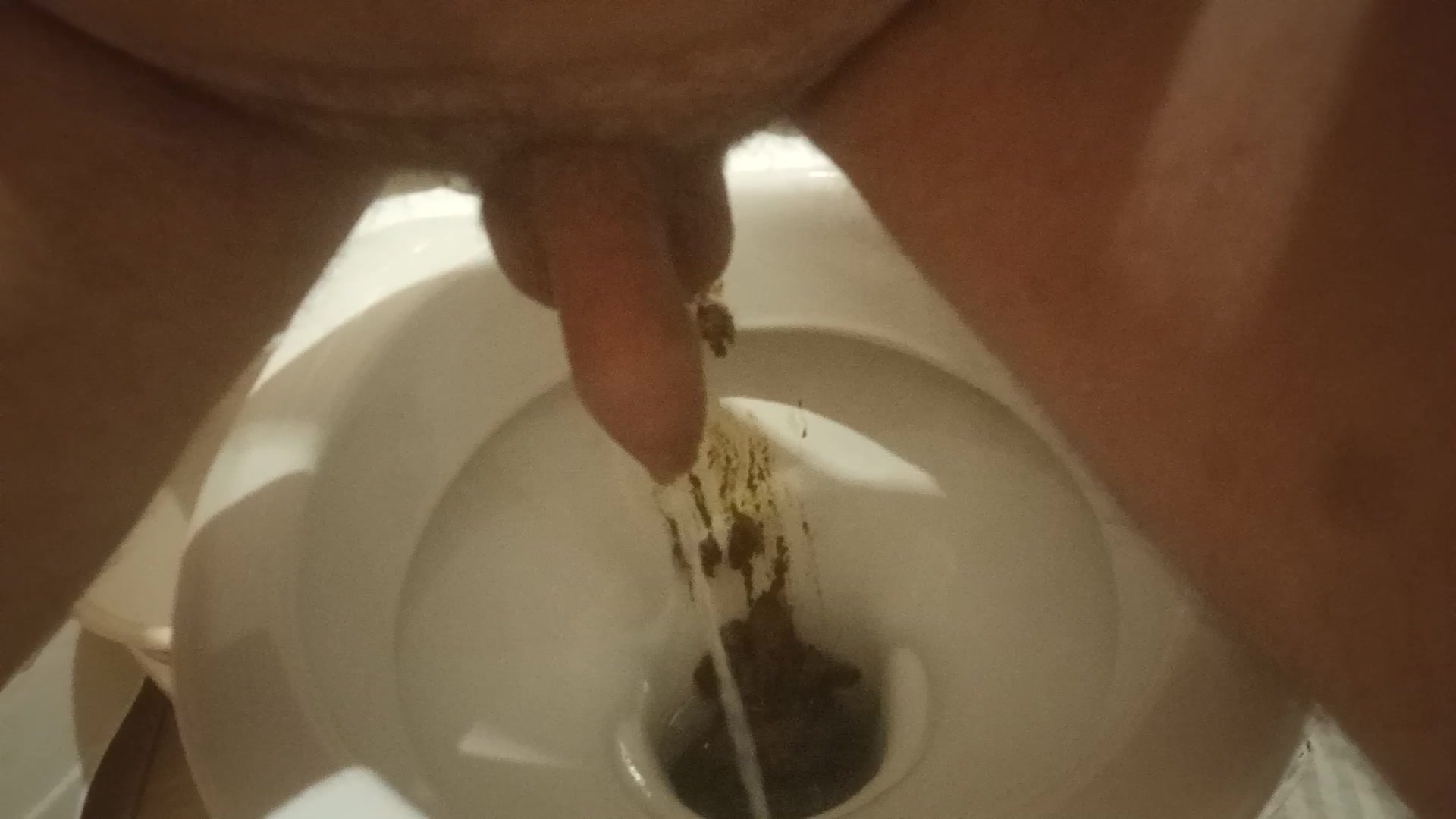 my evening shitting and pissing in toilet