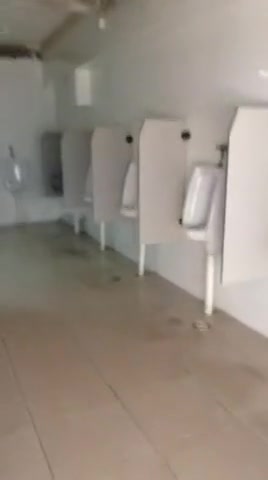 Risky public toilet masturbation