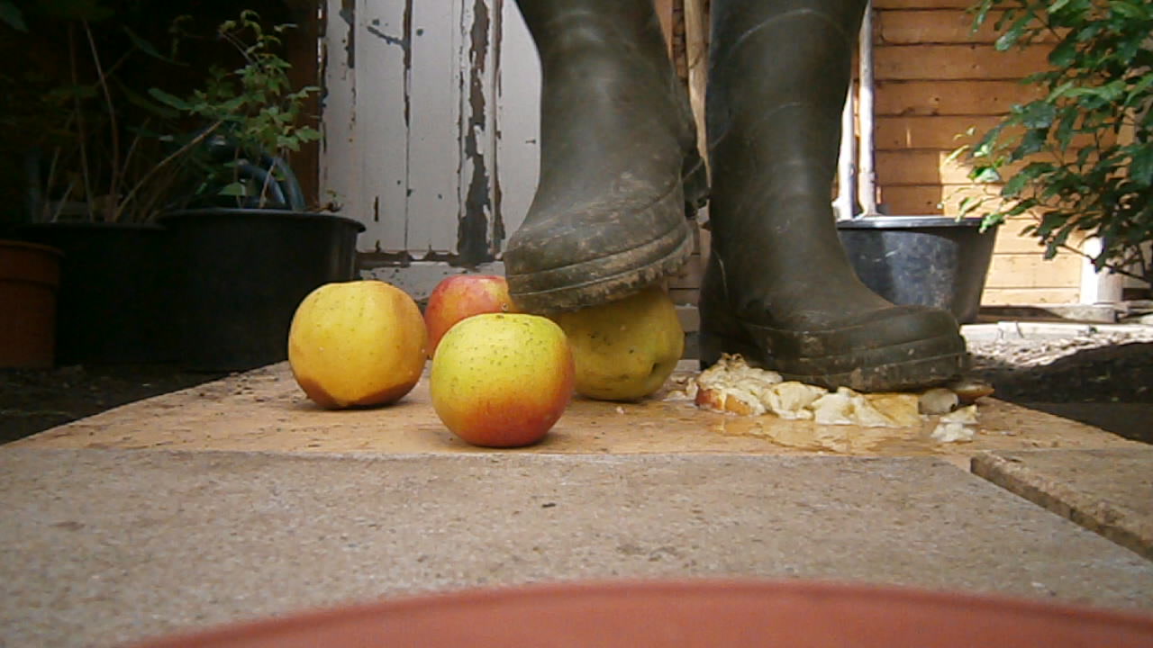 aigle vs pommes