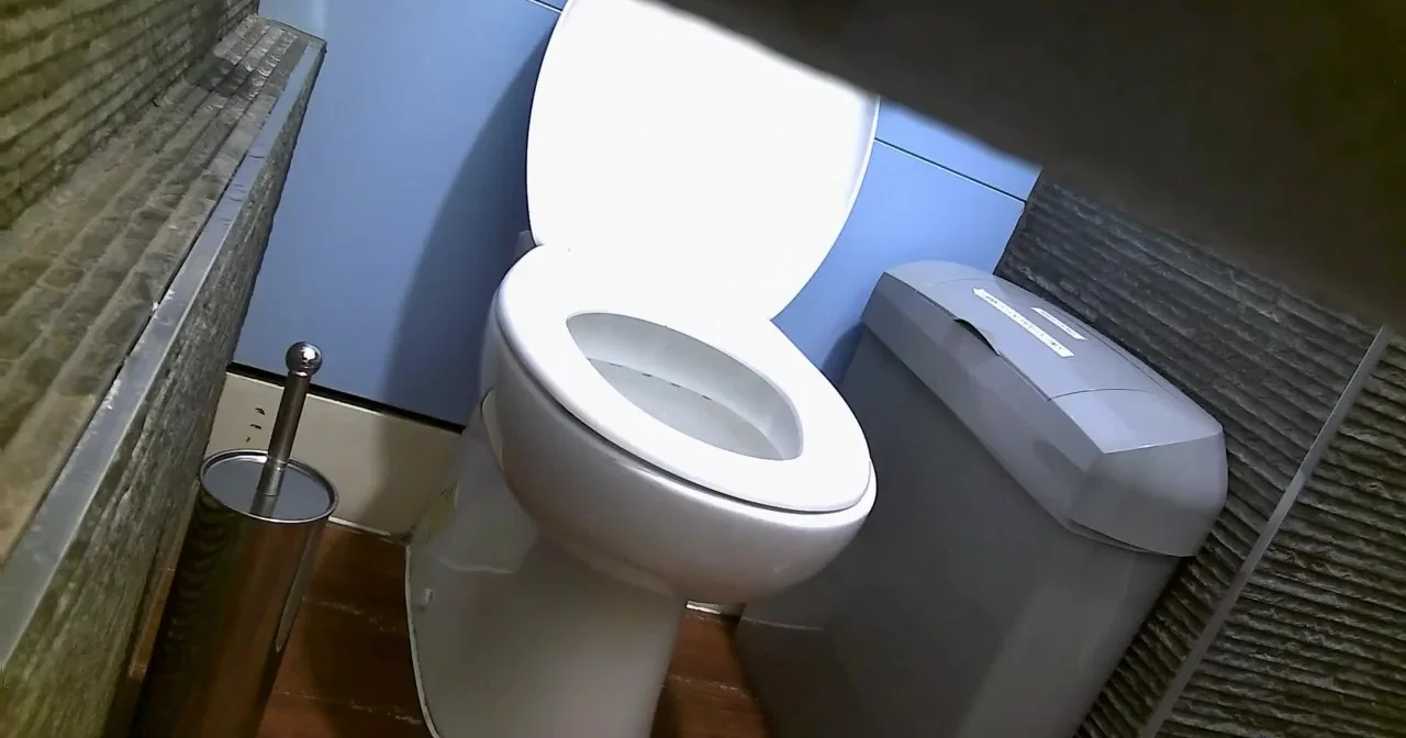 Girl toilet spy at work photo