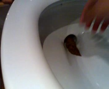 a toilet turd