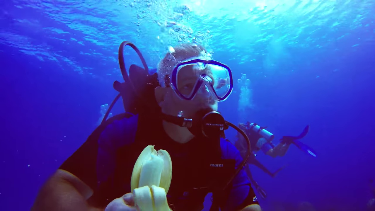 Scuba diver fails in attempt to snack on banana underwater