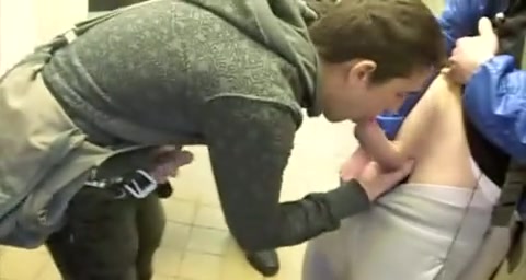 Pigs swapping blowjobs in public toilet