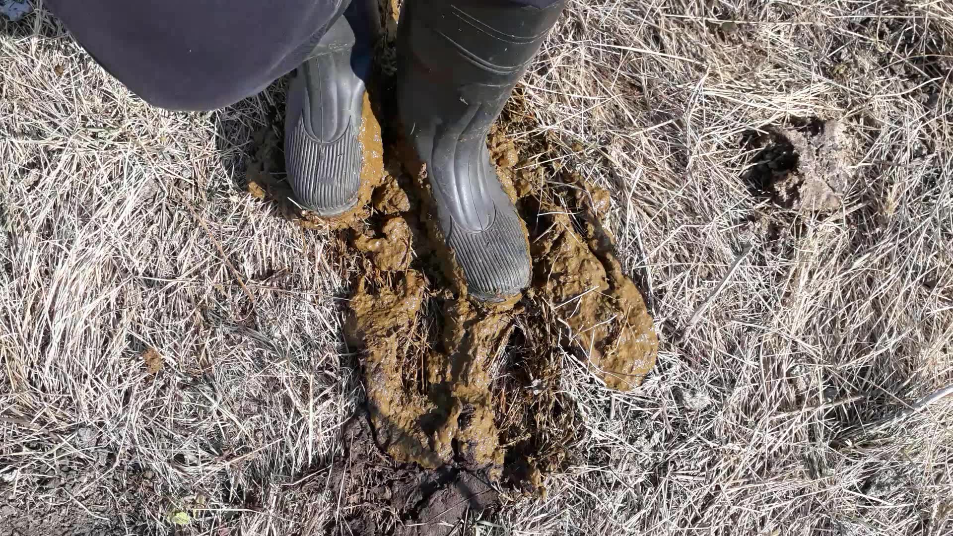 Rubber boots vs cowshit - video 11