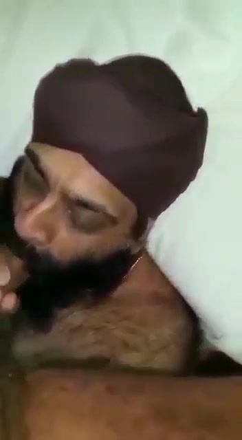 sikh bear Sucks dick