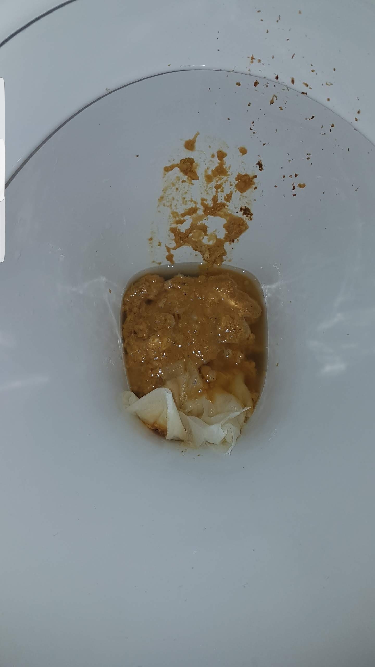 Loose gassy shit on mates loo before work