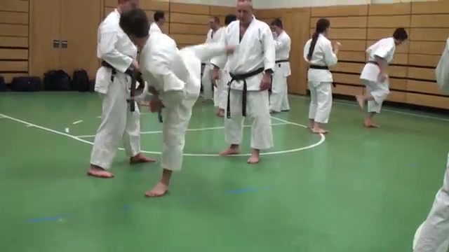 Karate Master Shows Deadly Kicks and Stomps