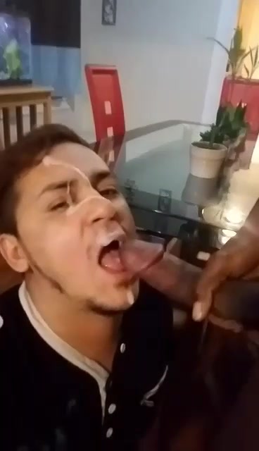Pig gets BBC facial in the dining room