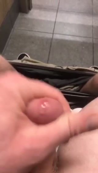 Albino cock
