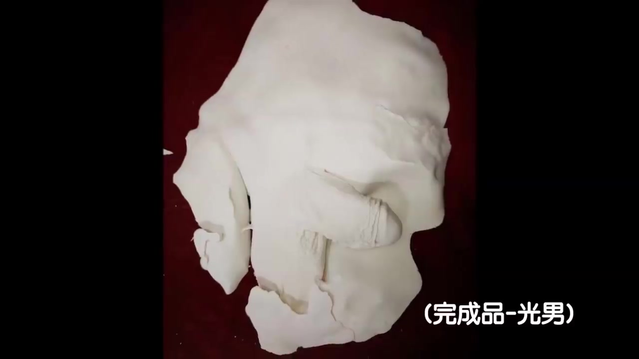 Japanese dick casts