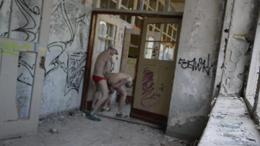 Pigs fucking in abandoned building - video 2