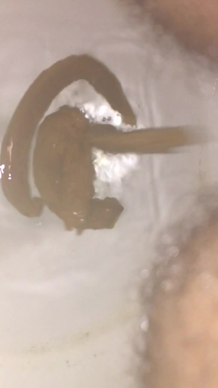 Snakes in the toliet
