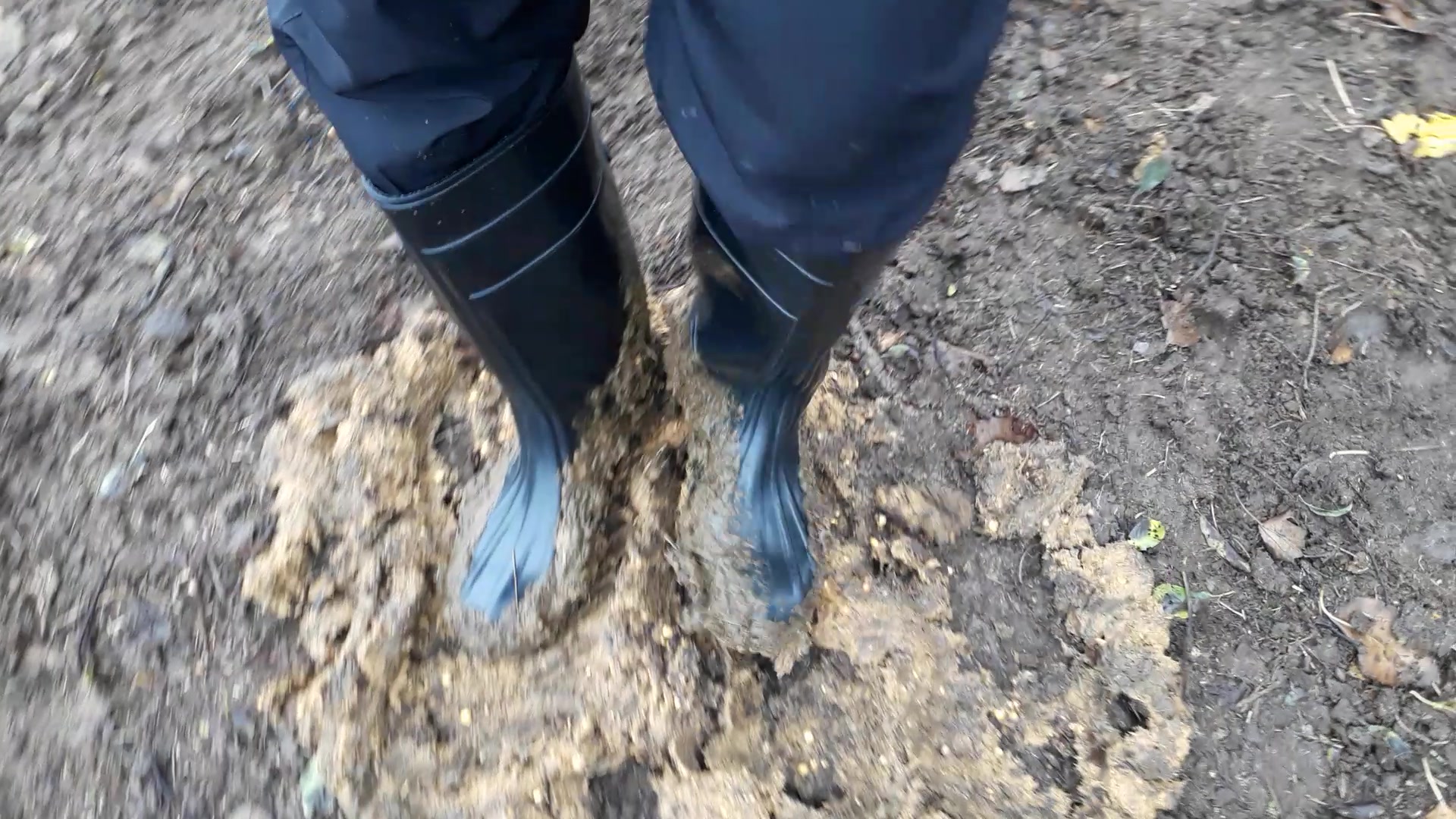 Rubber boots vs cowshit - video 16