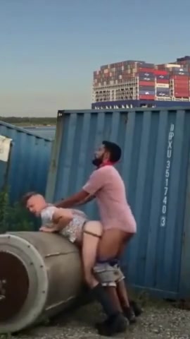 Pigs fucking by the docks
