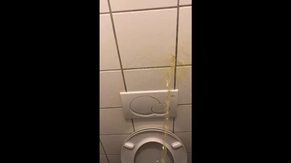 Trashing toilet with piss