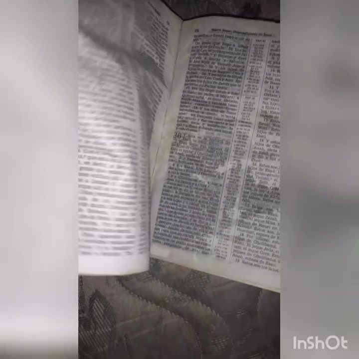 Bible desecration pt 3