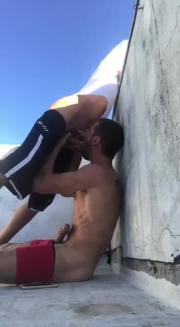Rooftop pig getting off his bro