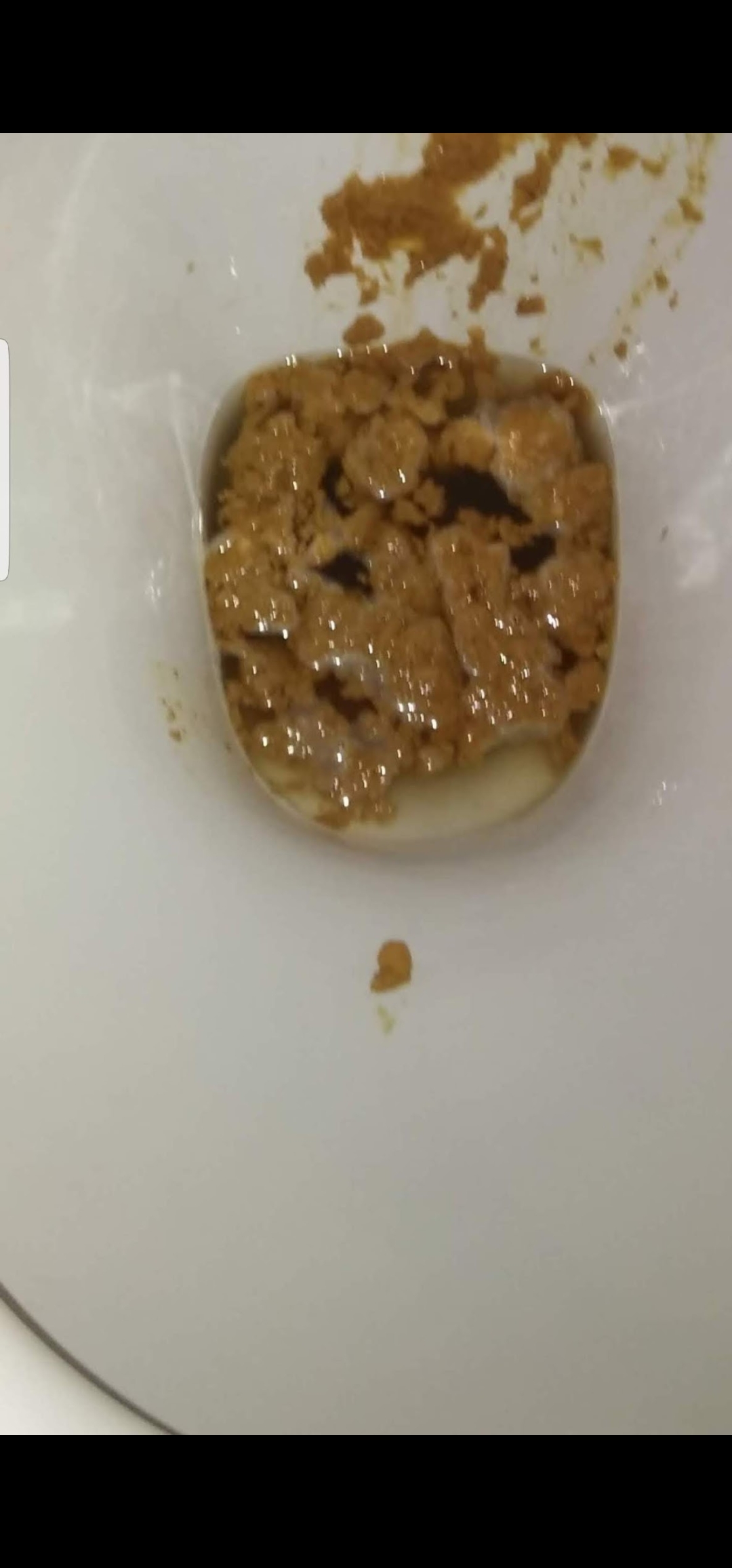 Desperate sloppy hungover shit on my mates loo