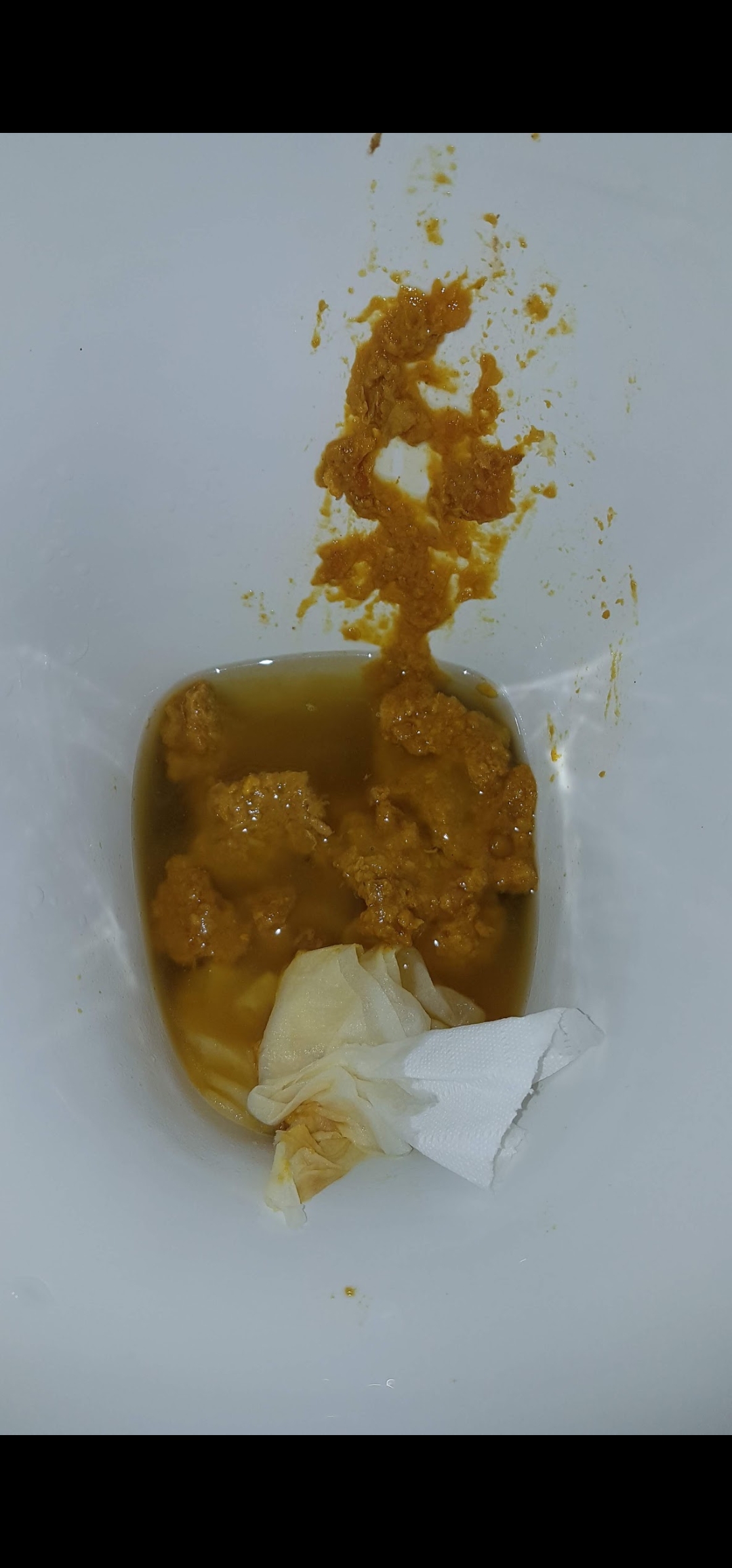 2nd sloppy Hungover shit on my mates loo