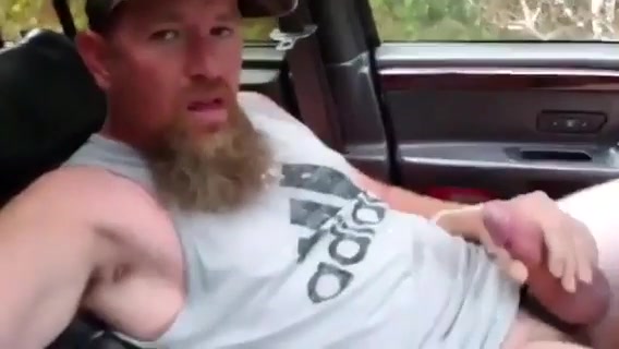 Bearded pig busts a nut in car