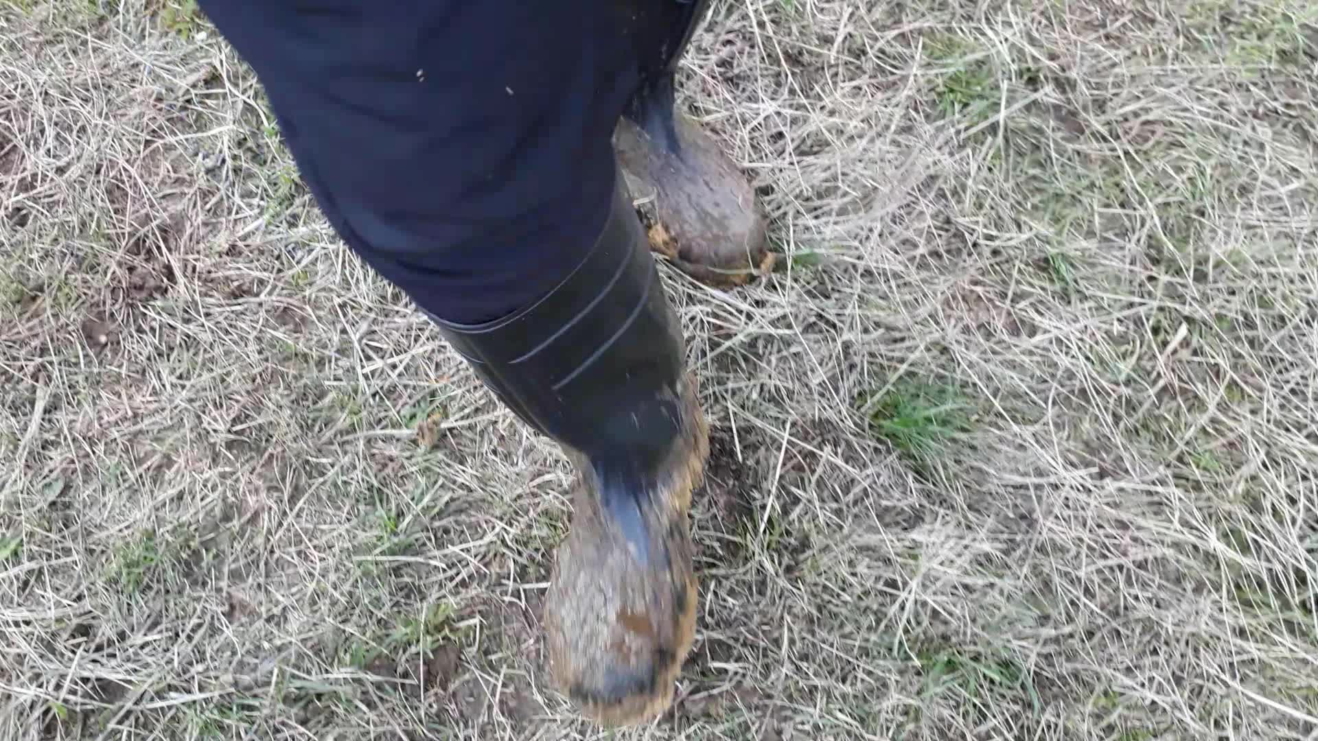 Rubber boots vs cowshit - video 18
