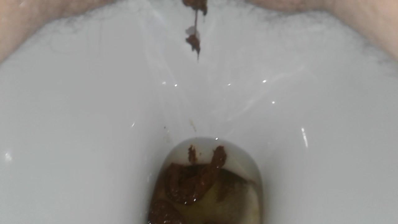 My evning poop