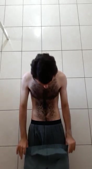 Ursinho 1