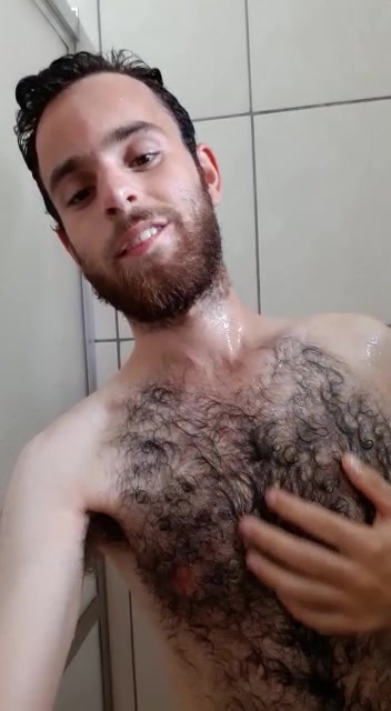 Ursinho 2