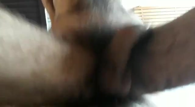 Ursinho 3