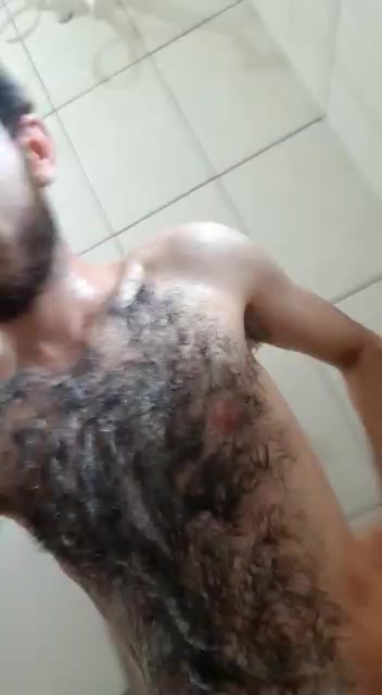 Ursinho 6