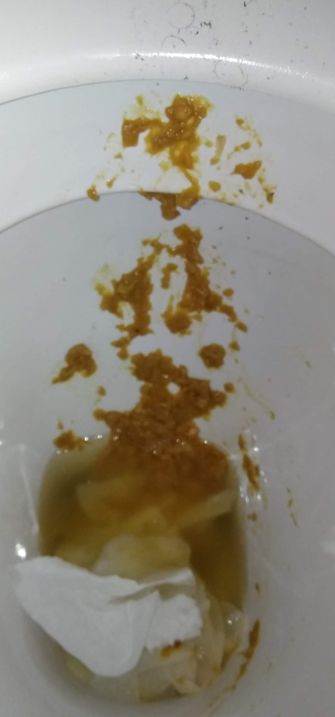 Desperate second works Christmas meal shit on mates loo