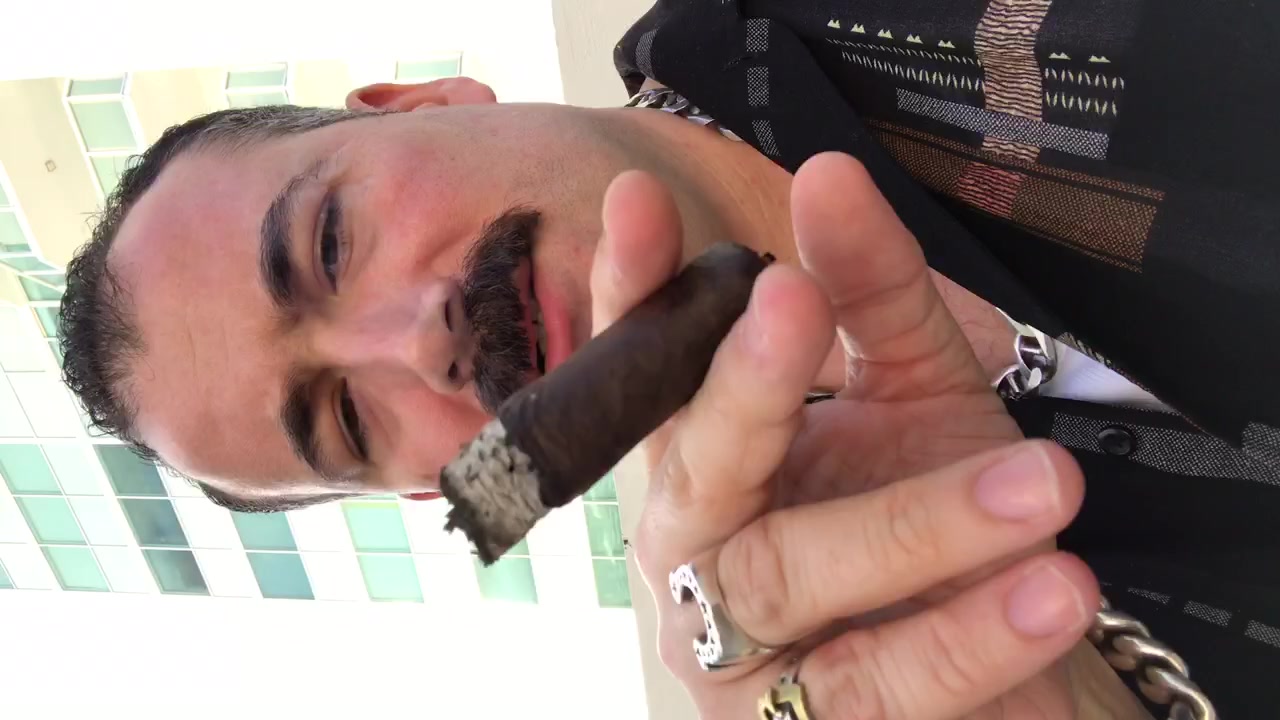 Miami cigar smoking mustache bear