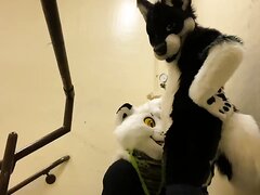 Public Blowjob in staircase at FWA 2019 - Eclipse Husky