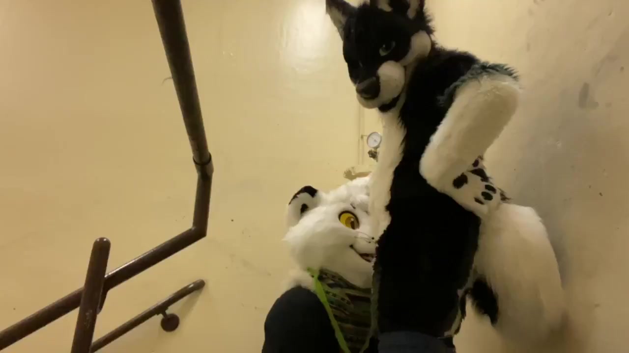 Public Blowjob in staircase at FWA 2019 - Eclipse Husky