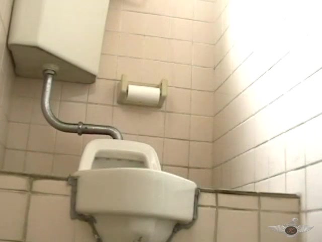 Japanese toilet voyeur - video 29