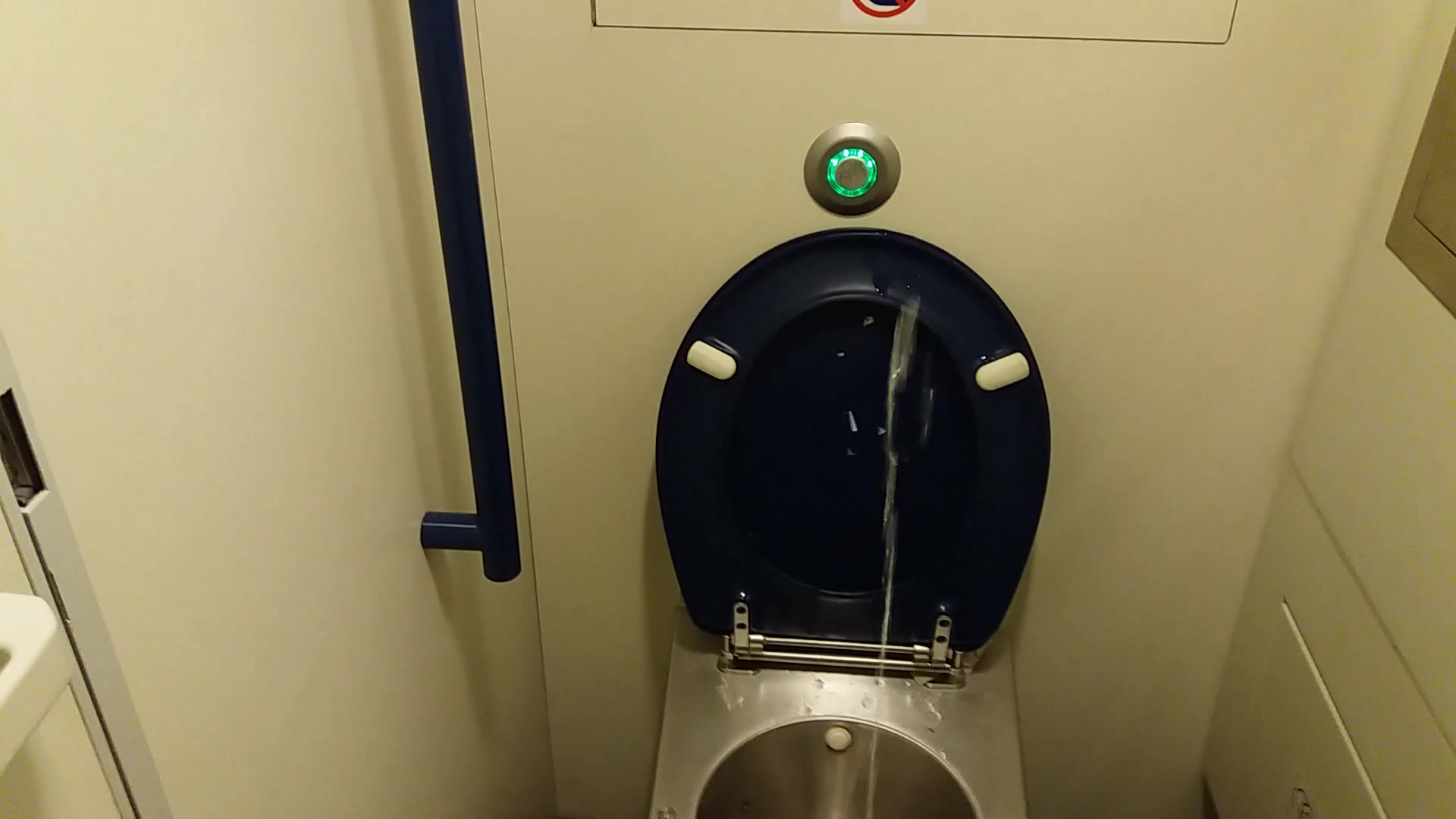 My load in the train toilet