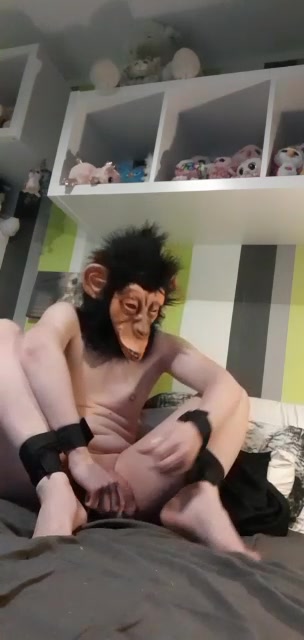 Dumb monkey in selfbondage cumming after a week of chastity