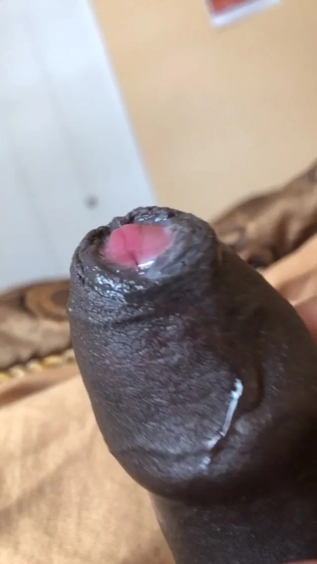 Uncircumcised Black Penis With Cum - Black foreskin plan (Indian) - ThisVid.com