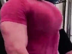 Massive muscle tits