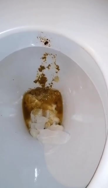 Christmas Eve shit result and flush
