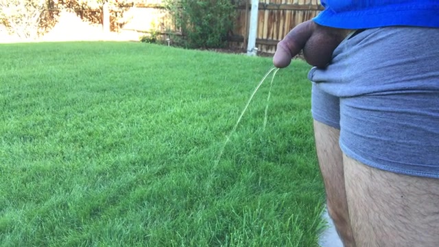 Peeing in the yard - video 2
