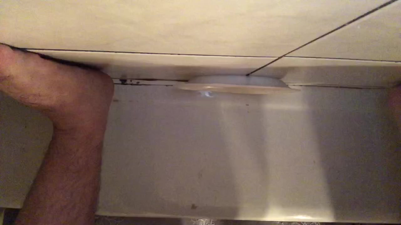Normal poop - video 4