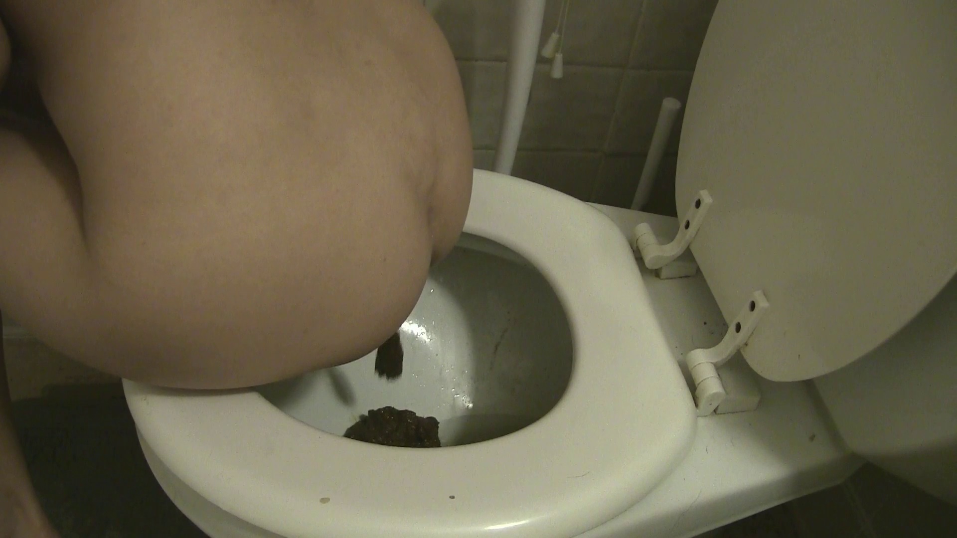 Christmas Poop - video 2