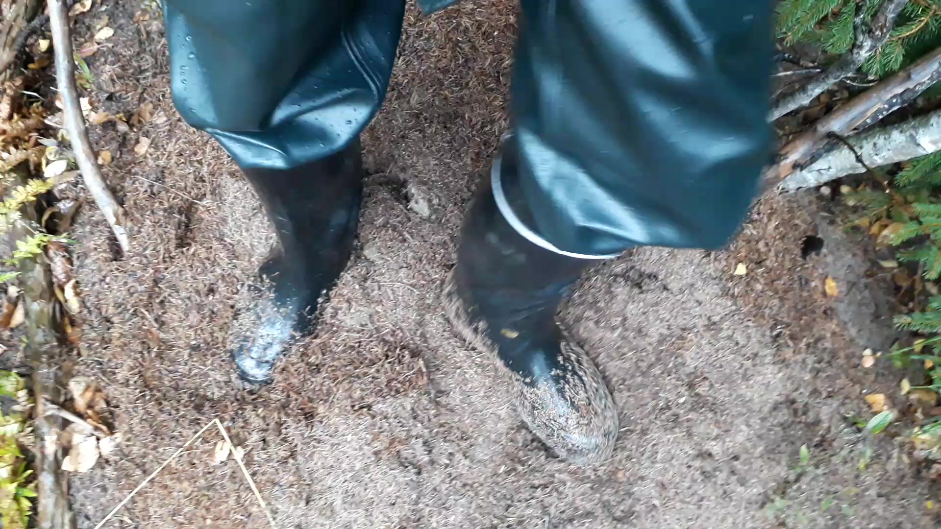 Rubber boots vs ant hill