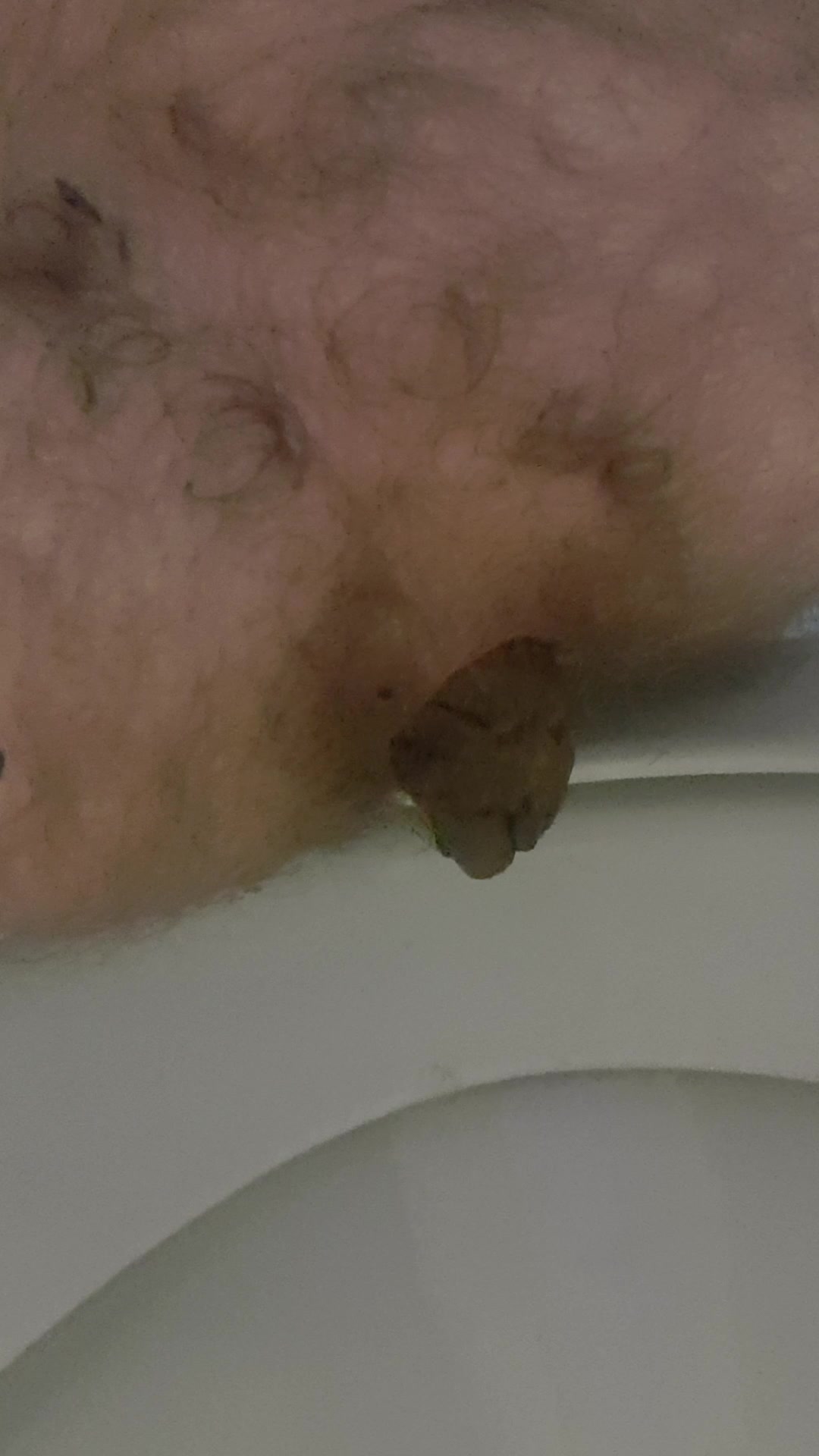 Today's poop for you guys