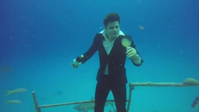Underwater barefaced model