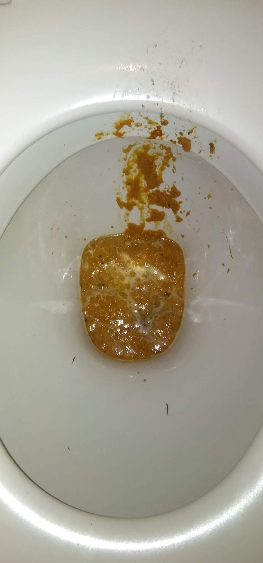 Farty diarrhea shit on Connors loo