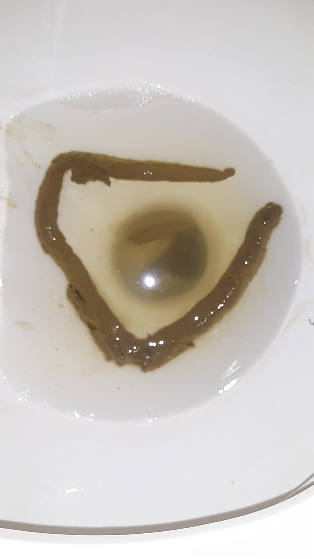 Toilet Flushing of My Turd